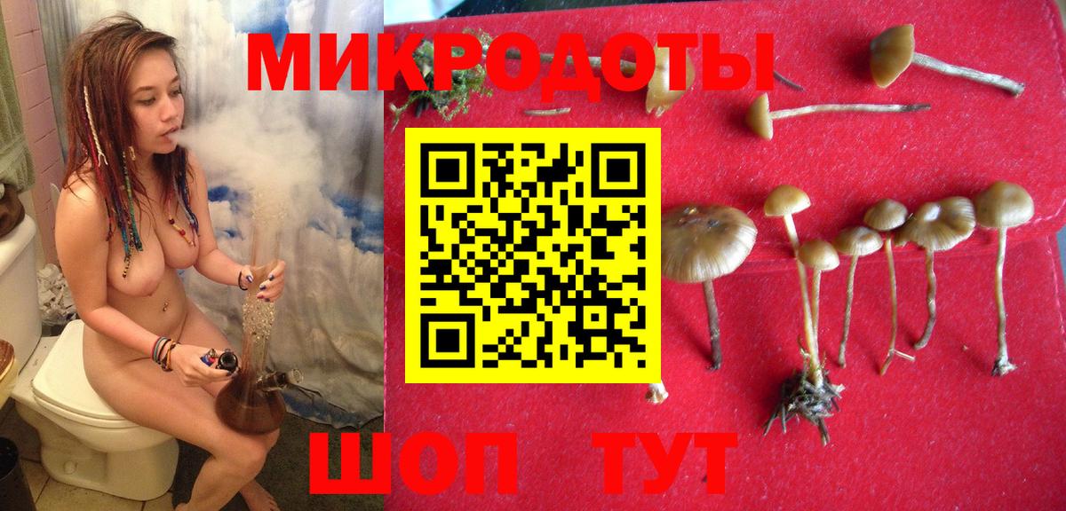 цены наркотик  Вход с VPN  Галлюциногенные грибы Psilocybine cubensis  Фурманов  Галлюциногенные грибы Magic Shrooms 